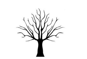 O Regozijo de um Profeta em meio a Dor – Habacuque 3: 17-19